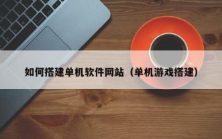 天门如何搭建单机软件网站（单机游戏搭建）